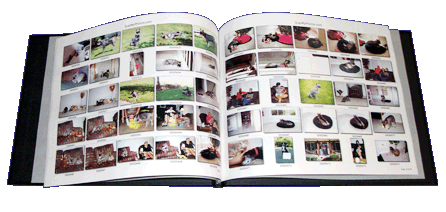 Index sample book