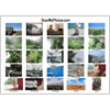 5x7 Contact Sheets