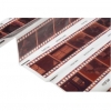35 MM Negative Scanning Service