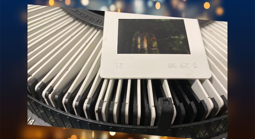 Holiday Slide Carousel Savings