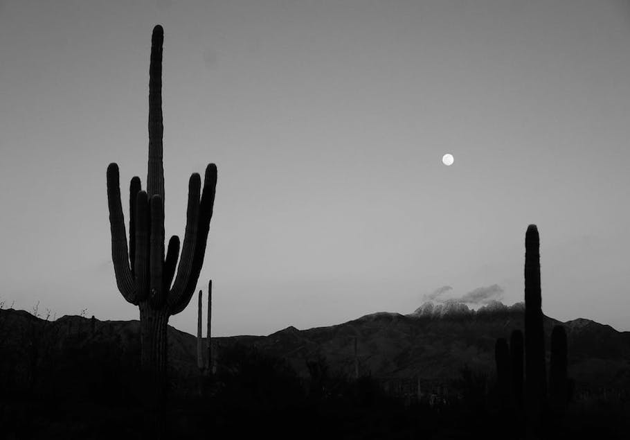 Photo Scanning & Digitizing Services, Mesa