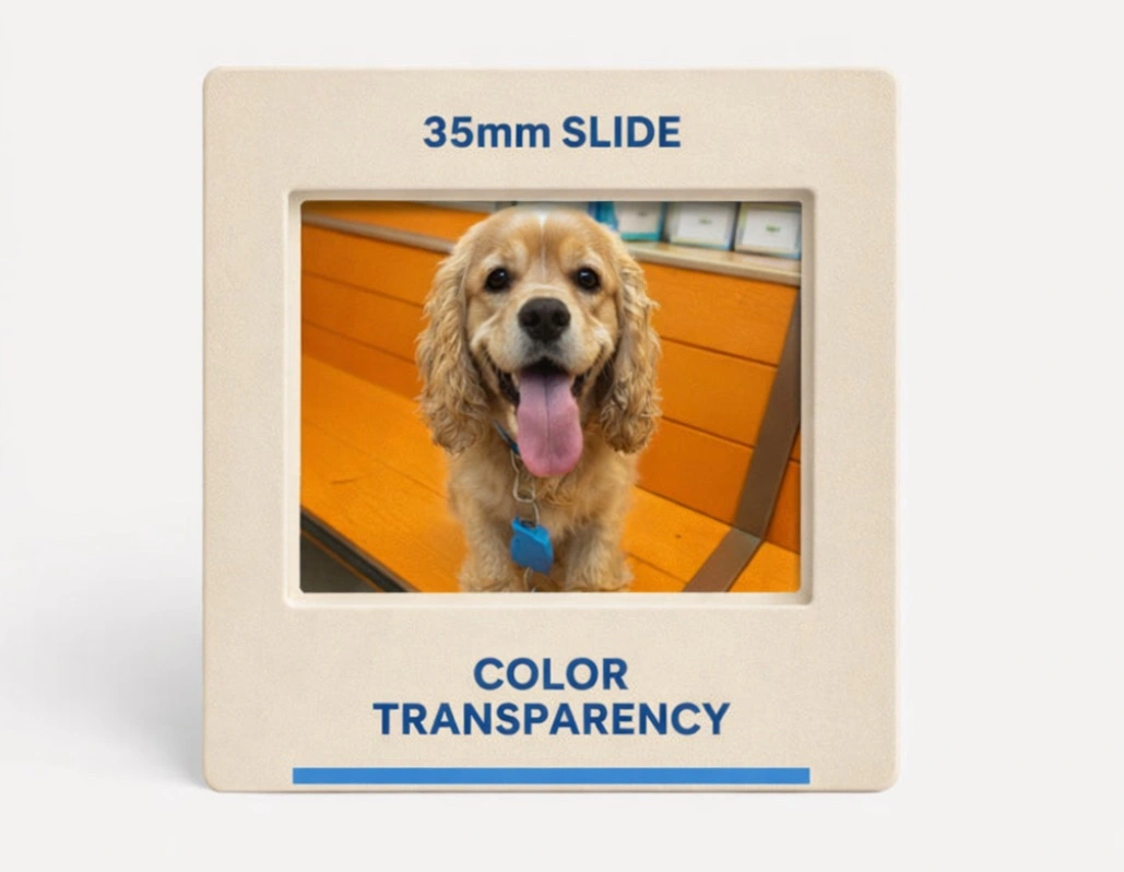 35mm Slide Scanning Services