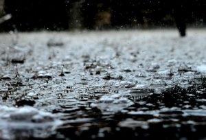 5 Tips for Taking Photos in the Rain rain 300x204 - 5 Tips for Taking Photos in the Rain