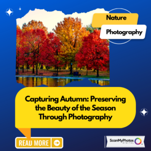 Capturing Autumn: Preserving the Beauty of the Season Through Photography