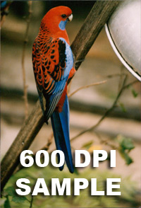 Example of 600 DPI image